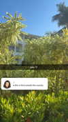 lew12001 Altpins Profile Picture