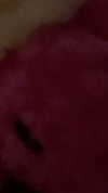 lew12001 Altpins Profile Picture