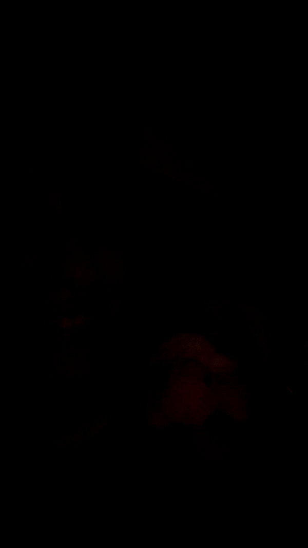lew12001 snapchat image archive image