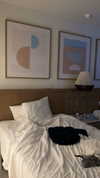 lew12001 Altpins Profile Picture