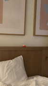 lew12001 Altpins Profile Picture