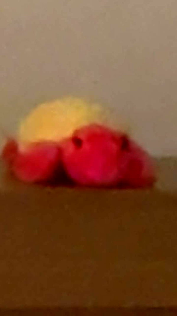 lew12001 snapchat image archive image