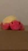 lew12001 Altpins Profile Picture