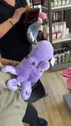lew12001 Altpins Profile Picture