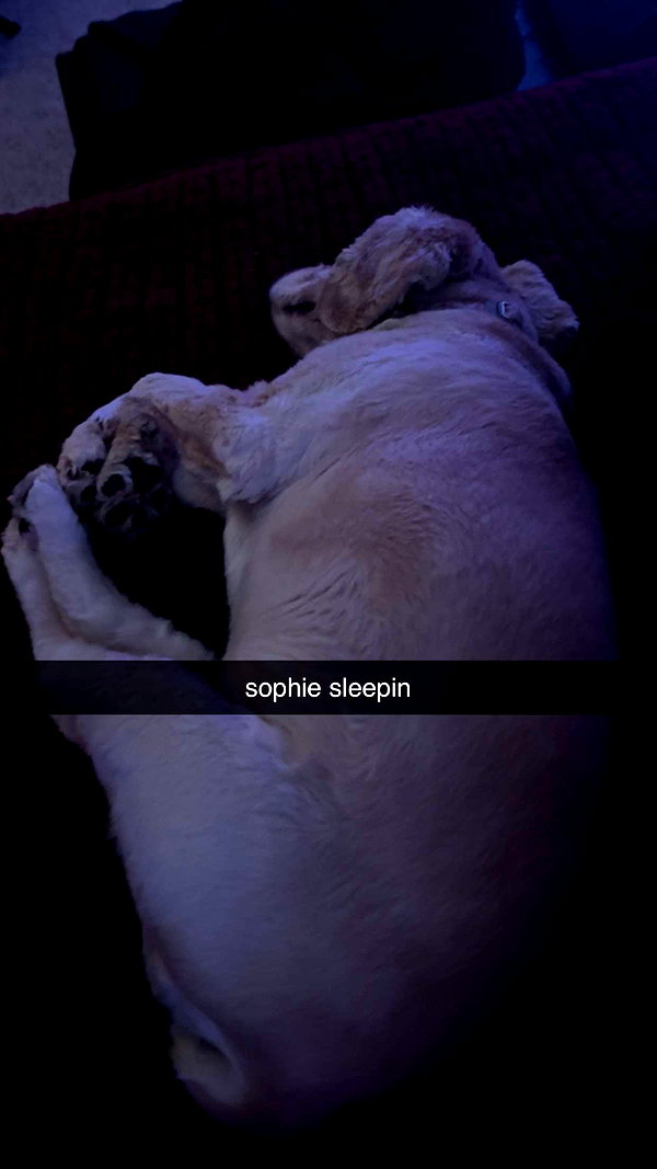 lew12001 snapchat image archive image