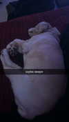 lew12001 Altpins Profile Picture