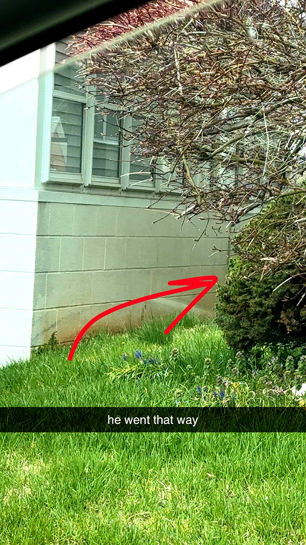 lew12001 snapchat image archive image