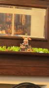 lew12001 Altpins Profile Picture