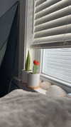 lew12001 Altpins Profile Picture