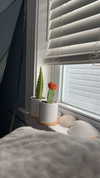 lew12001 Altpins Profile Picture