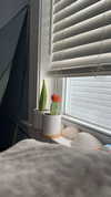 lew12001 Altpins Profile Picture