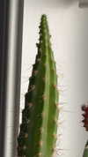 lew12001 Altpins Profile Picture