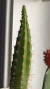 lew12001 Altpins Profile Picture