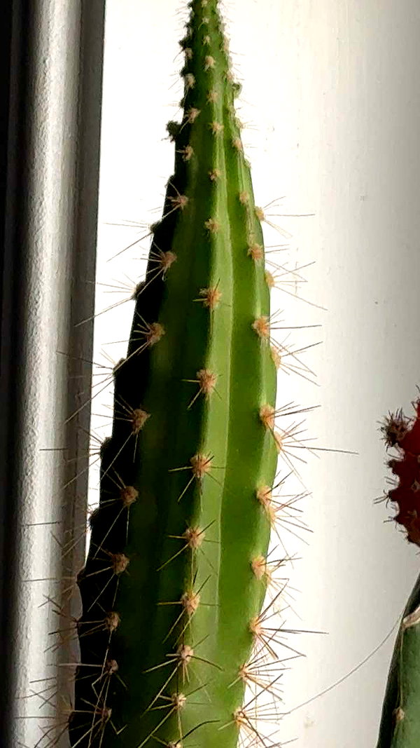 lew12001 snapchat image archive image