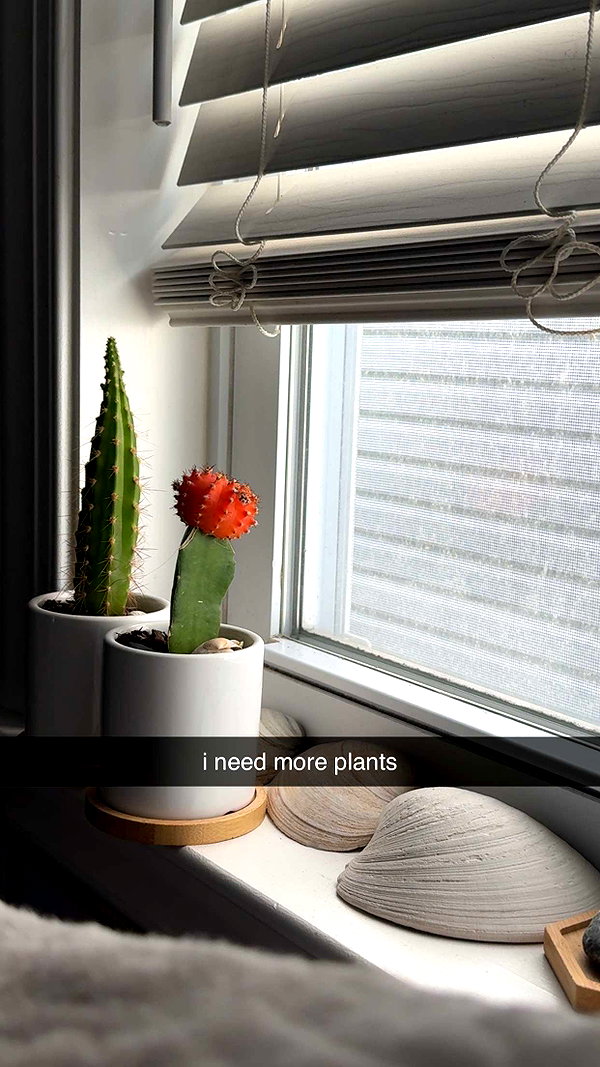 lew12001 snapchat image archive image