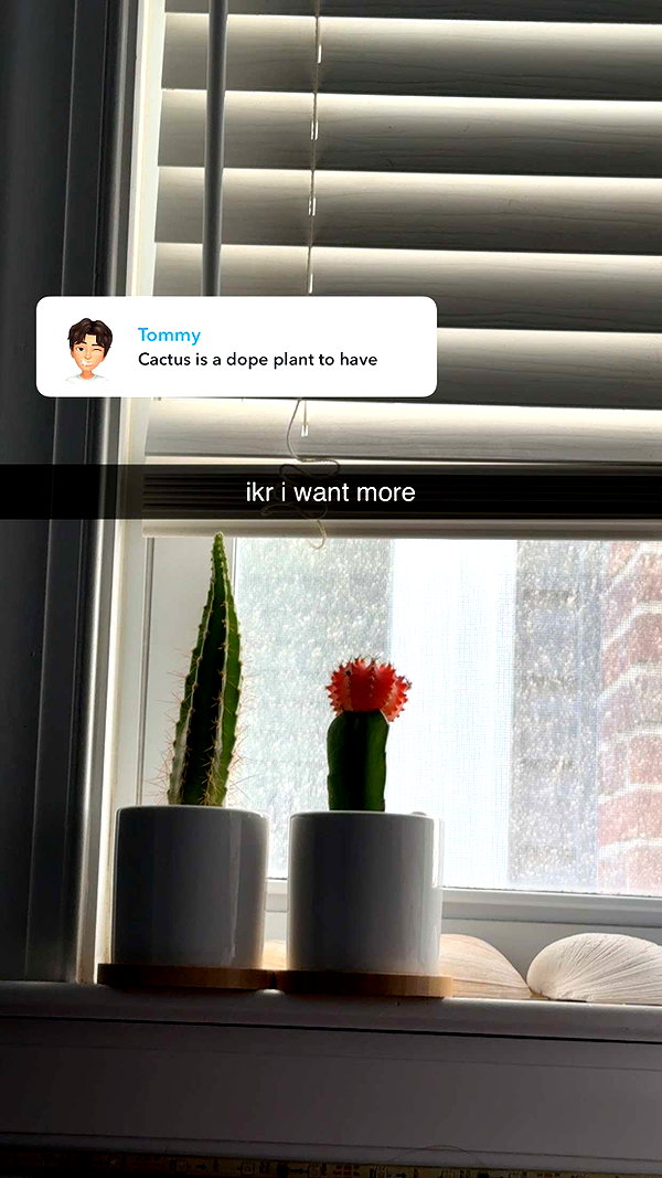 lew12001 snapchat image archive image