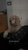 lew12001 Altpins Profile Picture