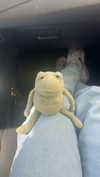 lew12001 Altpins Profile Picture