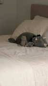 lew12001 Altpins Profile Picture