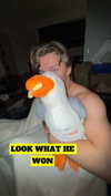 lew12001 Altpins Profile Picture