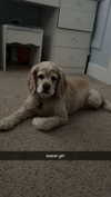 lew12001 Altpins Profile Picture