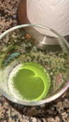 lew12001 Altpins Profile Picture