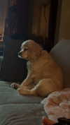 lew12001 Altpins Profile Picture