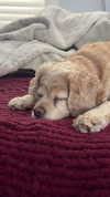 lew12001 Altpins Profile Picture