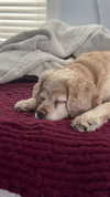 lew12001 Altpins Profile Picture