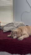 lew12001 Altpins Profile Picture