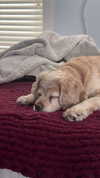 lew12001 Altpins Profile Picture