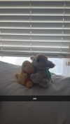 lew12001 Altpins Profile Picture