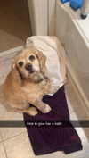 lew12001 Altpins Profile Picture