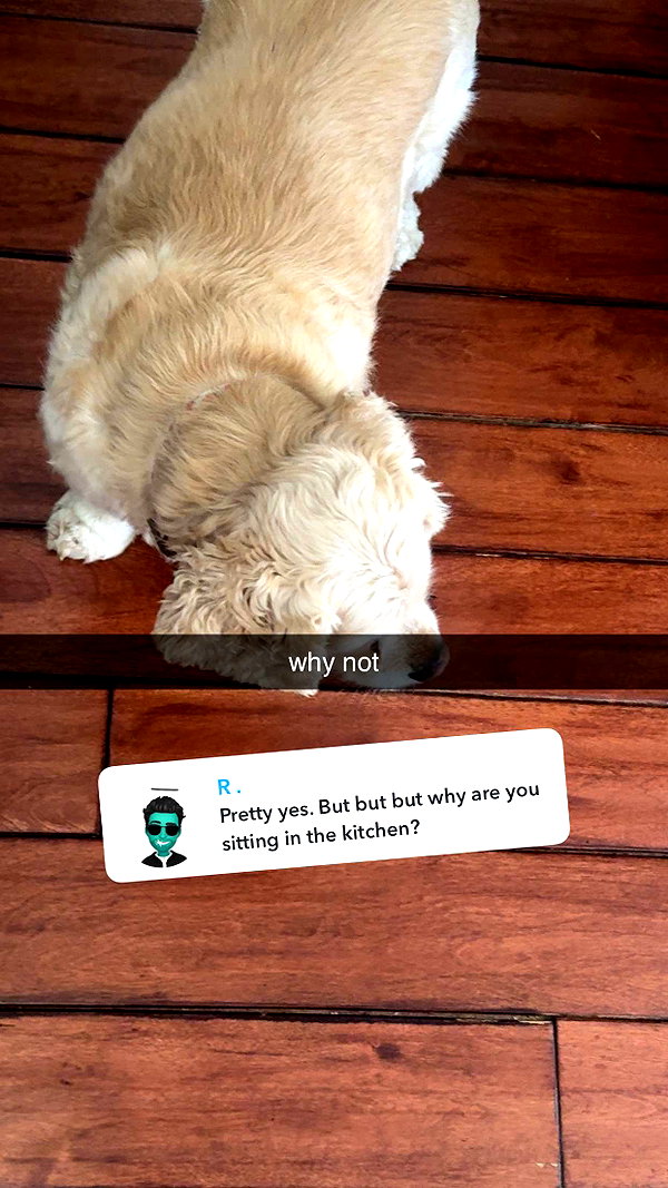 lew12001 snapchat image archive image