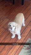 lew12001 Altpins Profile Picture