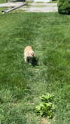 lew12001 Altpins Profile Picture