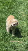 lew12001 Altpins Profile Picture