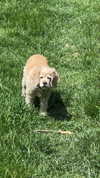 lew12001 Altpins Profile Picture