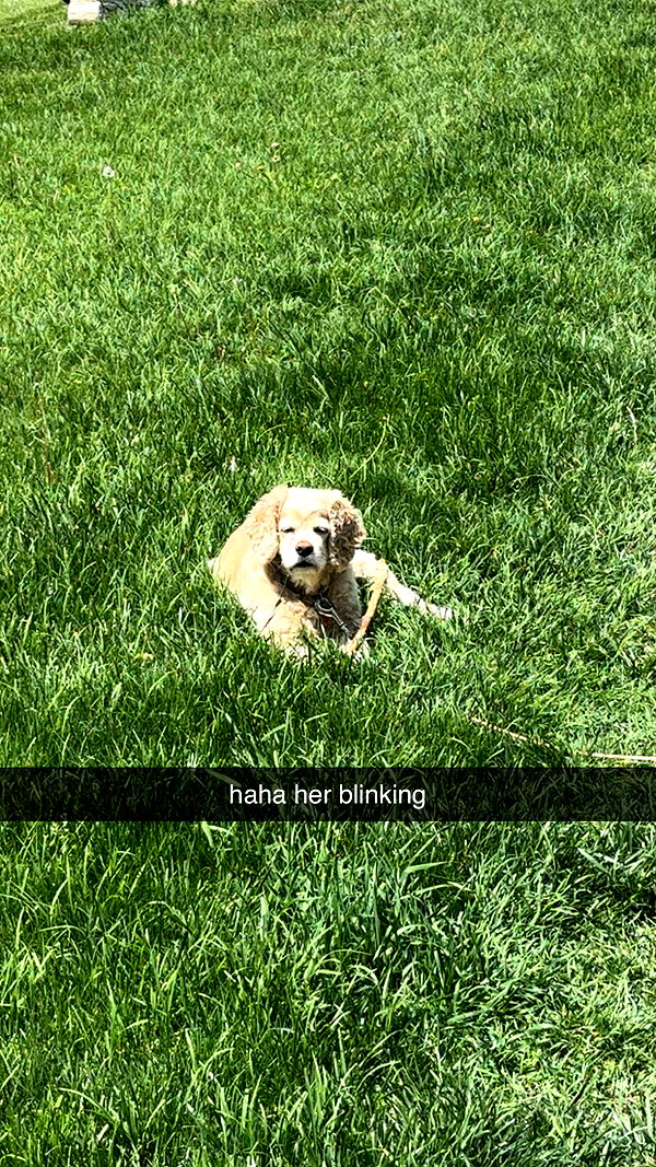 lew12001 snapchat image archive image