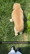 lew12001 Altpins Profile Picture