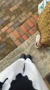 lew12001 Altpins Profile Picture
