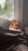 lew12001 Altpins Profile Picture