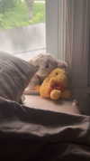 lew12001 Altpins Profile Picture