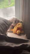 lew12001 Altpins Profile Picture