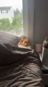 lew12001 Altpins Profile Picture