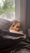 lew12001 Altpins Profile Picture