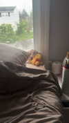 lew12001 Altpins Profile Picture