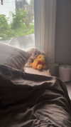 lew12001 Altpins Profile Picture