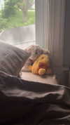 lew12001 Altpins Profile Picture
