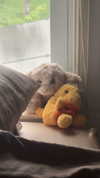 lew12001 Altpins Profile Picture